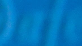 Muchos se apuntaron a esta iniciativa.