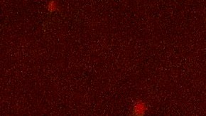 El incendio Glass en Deer Park, en el condado de Napa.