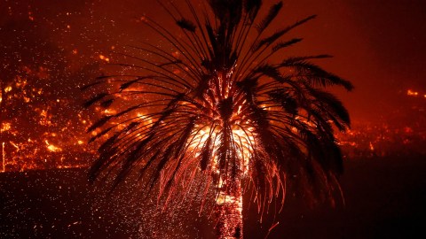 El incendio Glass en Deer Park, en el condado de Napa.