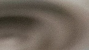 Harris apuesta por proteger el derecho a solicitar asilo.