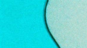 Disney+ incluye avisos de contenido racista en Peter Pan, Dumbo, Fantasía o La dama y el vagabundo