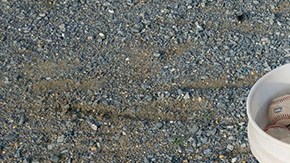 fqz1c-grandpa-bucket-of-baseballs-1