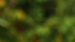 Estudiantes frustrados.