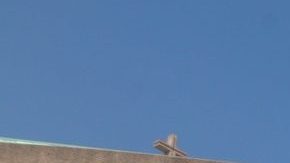 Peregrinos a la Basílica de Guadalupe.