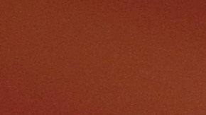 Héctor Herrera, uno de los referentes de la Selección Mexicana.