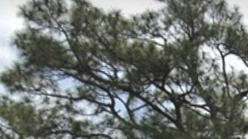 Los hechos ocurrieron el domingo por la mañana en esta casa de Miami.