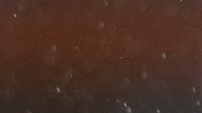 James Rodríguez, la sensación de la Premier League.