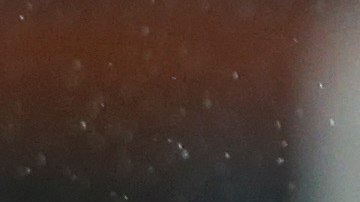 James Rodríguez, la sensación de la Premier League.