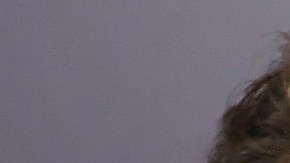 Matthew McConaughey habla sobre el reencuentro de Brad Pitt y Jennifer Aniston.