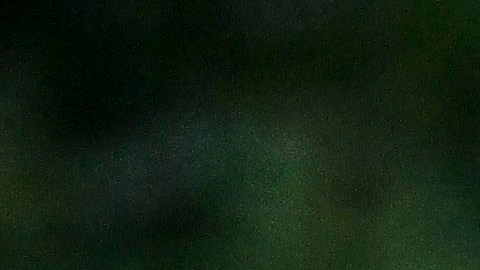 la volpe compara a lainez con messi