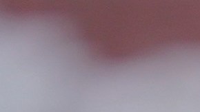 luis puente marcelo flores