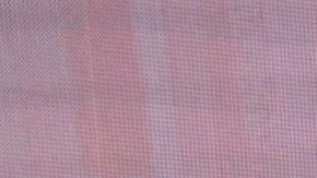 Eva Cedeño y Mane de la Parra