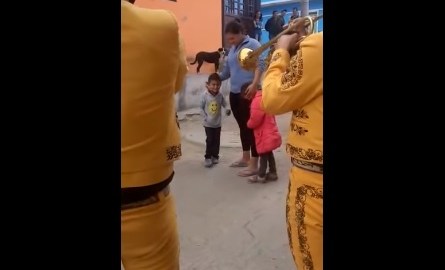 El menor dio sorpresa a su mamá.