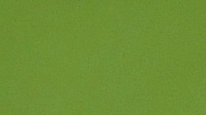 Leo Messi, capitán del FC Barcelona.