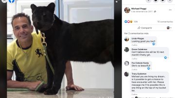 Michael Poggi junto al leopoardo negro que tiene en su casa en una fotografía que compartió en redes sociales.