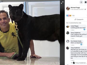 Michael Poggi junto al leopoardo negro que tiene en su casa en una fotografía que compartió en redes sociales.