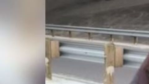 La Policía de San Antonio difundió una fotografía de la sospechosa.