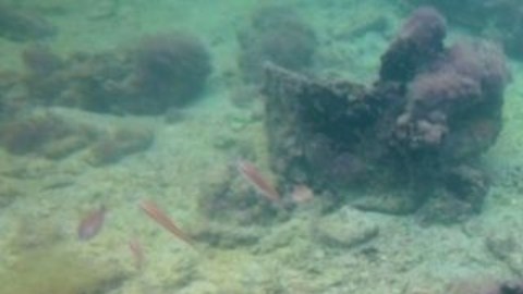 El descubrimiento de La Unión frente a la costa de Yucatán.