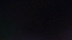 nicolas castillo pumas