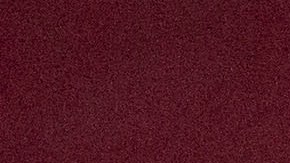 como salio de chivas oswaldo sanchez