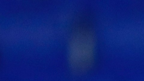 pamela tajonar logroño