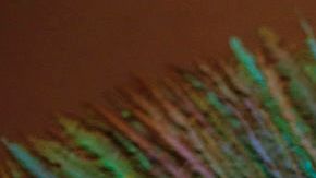 Penacho de Moctezuma exhibida en Austria.