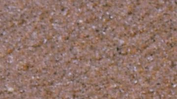 Soñar con pies descalzos es común.