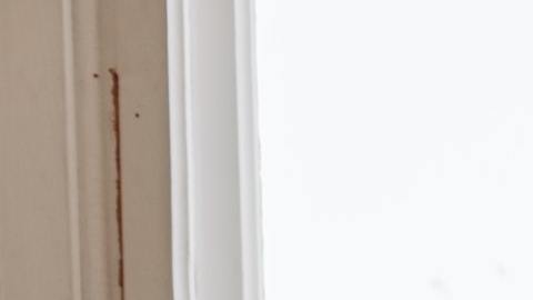 Conoce cuál es la mejor manera de iniciar el día para tu signo.