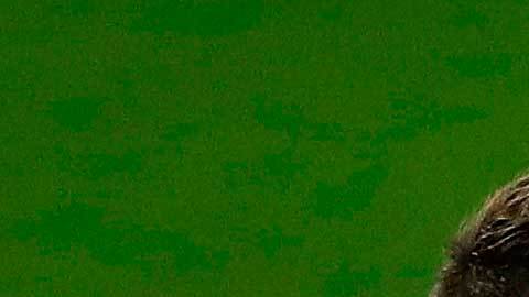 La expulsión de Gerard Piqué puede costarle caro al Barcelna.