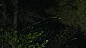 Los dos cazadores posan con la pitón que encontraron en los Everglades, en Florida.