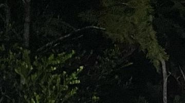 Los dos cazadores posan con la pitón que encontraron en los Everglades, en Florida.