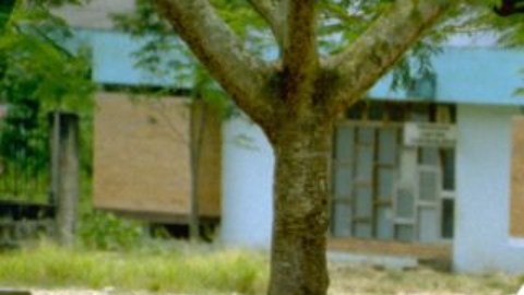 La foto fue tomada en Su foto de 1991.