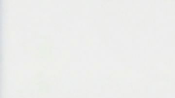 Hasta el momento ya votó más del tercio de las personas registradas.