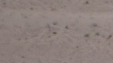 El accidente del Rally se dio en en la localidad de Marinha Grande.