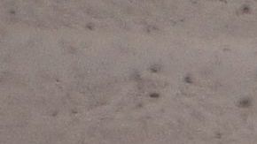 El accidente del Rally se dio en en la localidad de Marinha Grande.