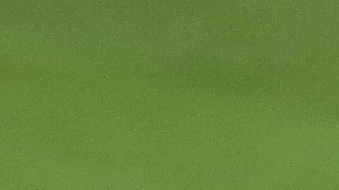 tampa bay juego 4 serie mundial 2020