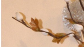 Rocío Sánchez Azuara