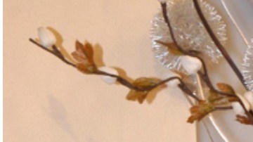 Rocío Sánchez Azuara