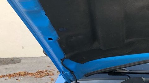 El reptil estaba escondido en la parte delantera de un Ford Mustang.