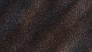 Al parecer, pensaron que las armas estaban descargadas.