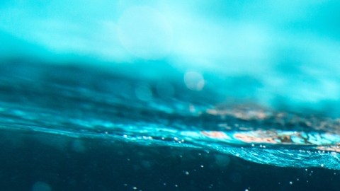 No nades en agua fría si no estás seguro de los riesgos que la actividad implica.