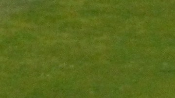 tatuaje Moi muñoz Márgara francisca