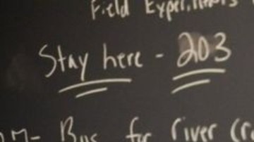 John List descubrió la mejor forma de pedir disculpas para Uber y a la vez adquirió un conocimiento muy útil para el negocio.