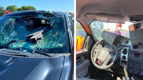 El conductor tuvo algunas heridas leves de las que se está recuperando.