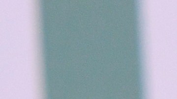 yon de luisa partidos moleros