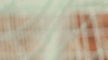 Zlatan Ibrahimovic guió al Milan al triunfo.