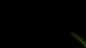 Los pandoravirus,  unos virus gigantes, contienen muchos más genes que un virus normal.