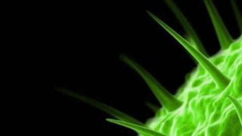 Los pandoravirus,  unos virus gigantes, contienen muchos más genes que un virus normal.
