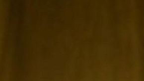 Es la primera candidata mujer del Partido Libertario a la presidencia de EE.UU.