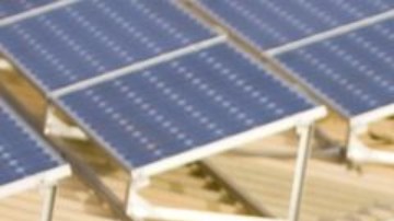 El Foro Económico Mundial proyecta que se crearán 395 millones de empleos verdes.